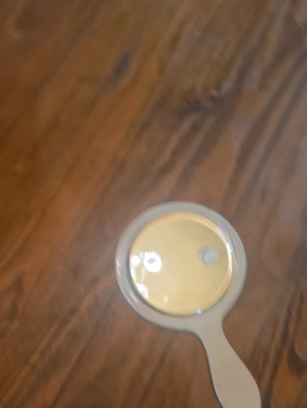 Vintage Handheld Mirror